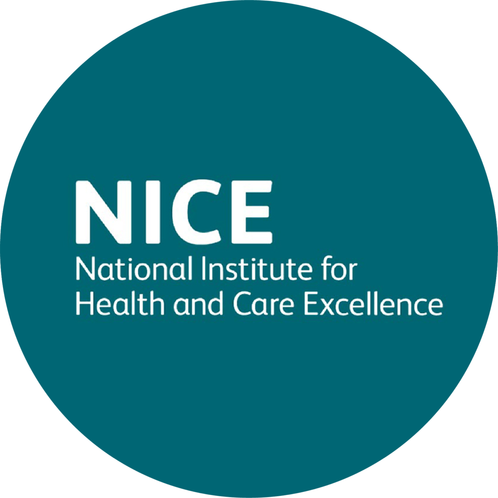 Логотип NICE